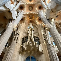 sculpted Sagrada Familia ceiling by Antoni Gaudi, symmetrical