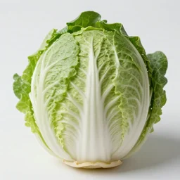 er chicoria truceklan