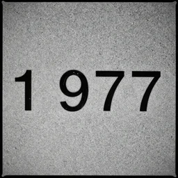 granular detachment 1 9 7 7, black and white photograph, film grain, masterpiece, ultra high contrast, grainy, 5 0 mm, artist, icp center