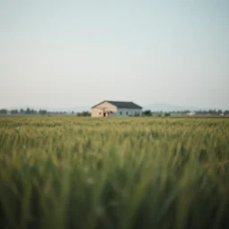 A serene landscape with a singular building in the style of shallow depth of field, smooth bokeh