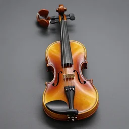 world smallest violin