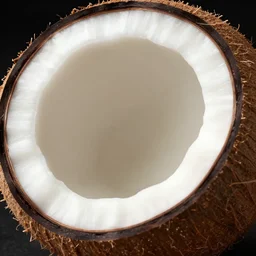ko ko nut, coconut, coconut, portrait, extremely closeup, global lighting, digital art, artstation