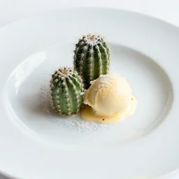 a fine dining dessert plate of spiky cactus and ice cream, sugar sprinkled, food photography, michelin star, fine dining, sharp focus