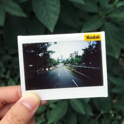 photo, china, kodak ektachrome 1 2 0,
