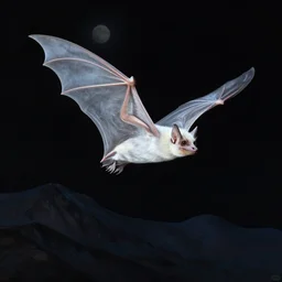 a white bat, flying against a black night sky, mountain in the background, moonlight, denoised, very detailed, painted by james gurney, norman rockwell, tom bagshaw