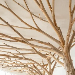 high ceiling interior made with tree branches