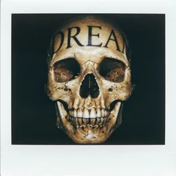 polaroid of a dream reflection beautiful typography rich skull hard edges high contrast brush
