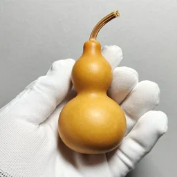 gourd as amber heard as a gourd, she is a gourd