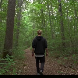 justin bieber chasing you in a forest, trailcam footage