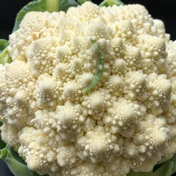 cauliflower in incredible fractal detail