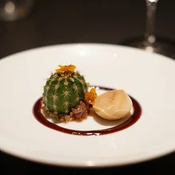 a fine dining plate of cactus and sauce, food photography, michelin star, fine dining, bokeh
