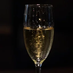 complete darkness. backlit champagne glass. barely visible. one small golden light source. raw. f 1 1. 5 seconds