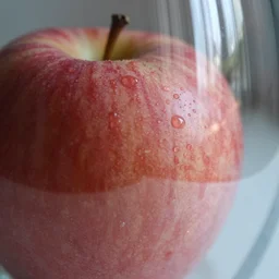 apple refraction through glass