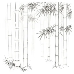 bamboo forest minimalist line drawings
