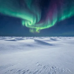 A beautiful painting of the vast snow desert at night with the northern lights by marc simonetti, matte painting