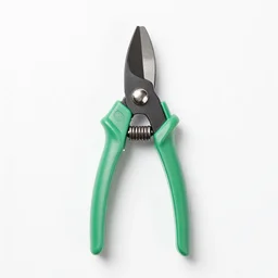 jade pruning shears, 8k product photo, isolated on a pure white background, centered, entire object in frame, sharp focus, soft studio lighting