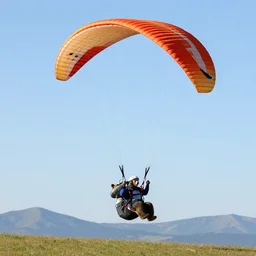 paragliding bear
