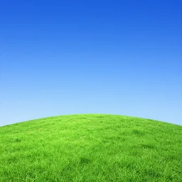 windows xp grass hill with beautiful blue sky wallpaper