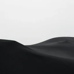the minimalist wave