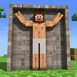 vitruvian man, in minecraft