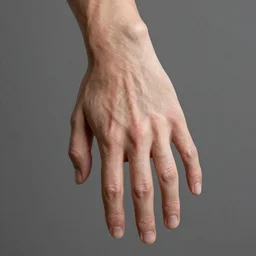 the right hand, high detail, high modeling, hyperrealistic, please, please, please