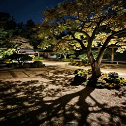japanese garden at night