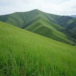most realistic very very sharp grass landscape covered with mountains