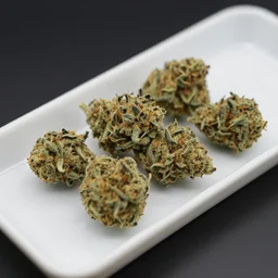a professional photo of marijuana nugs on a rolling tray