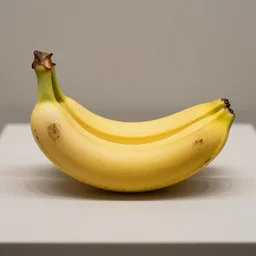 the last banana in the world on display in a museum