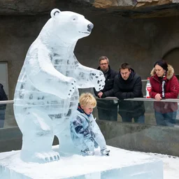 ice sculpture. there is a little blonde boy trapped in the figurine made of ice. antartica. coca cola polar bear cheers on. concerned parents looking down from a zoo railing.