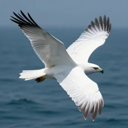 a huge bird flying over the sea, insectoid, moth - like eagle, with blue feathers, with antennae, mythical, ethereal, sunset, art by artgerm and greg rutkowski