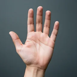 i want you to hold out the palm of your