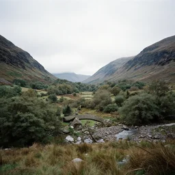 quandale dingle