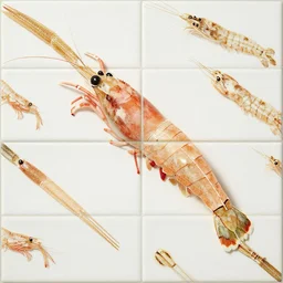 a tiled wallpaper with torpedo shrimp at a 45 degree angle