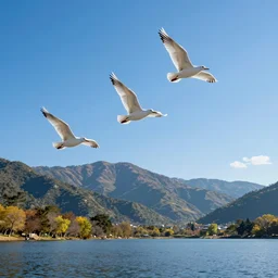 three white birds in a blue sky flying over a lake and mountain, beautiful landscape