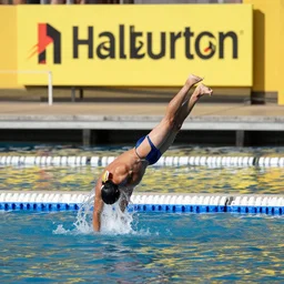 halliburton dunking