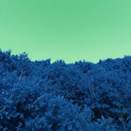 Landscape with blue foliage and a green sky, high quality render, 4K