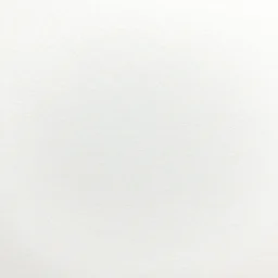 textured japanese art paper white