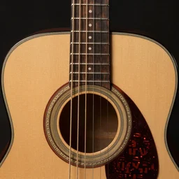 a steampunk six string acoustic guitar fretboard