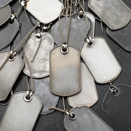 a sea of dog tags.