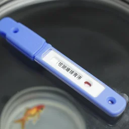 pcr testing a goldfish