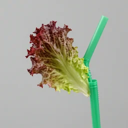 a red head of lettuce sticking out the end of a green spiky straw