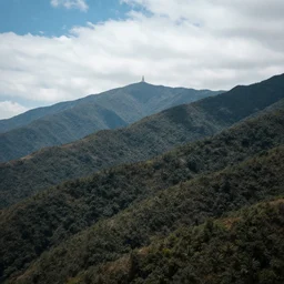 mountainous landscape