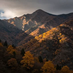 autumn mountain style