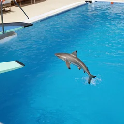 a shark diving from a diving board into a pool. photographic, photography