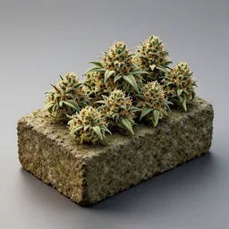 a brick made out of cannabis marijuana, beautiful, octane render, nug pic, ray tracing, 8 k, unreal engine 5
