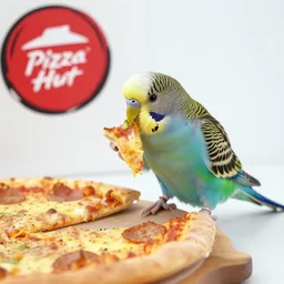 still image of a parakeet eating pizza at Pizza Hut, vlog footage