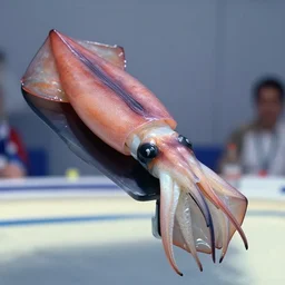 a perfect photograph from the 1 9 9 5 world squid impersonator competition, held in monte carlo. the winner is resplendent like a prince. studio lighting, formal paparazzi style.