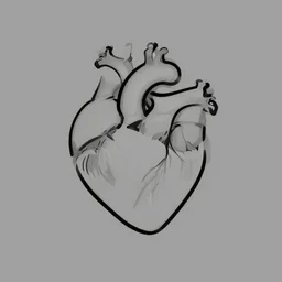 minimalistic drawing of a heart, high quality, adobe illustrator