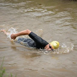 pandas swimming in the muddy gangies river